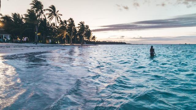 Playa de Punta Cana / PEXELS