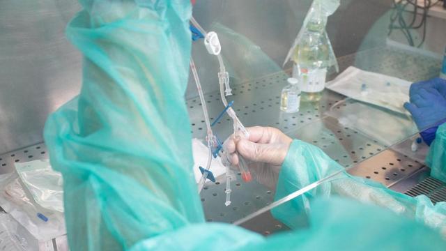 Preparación de un trasplante de tejido humano / EP