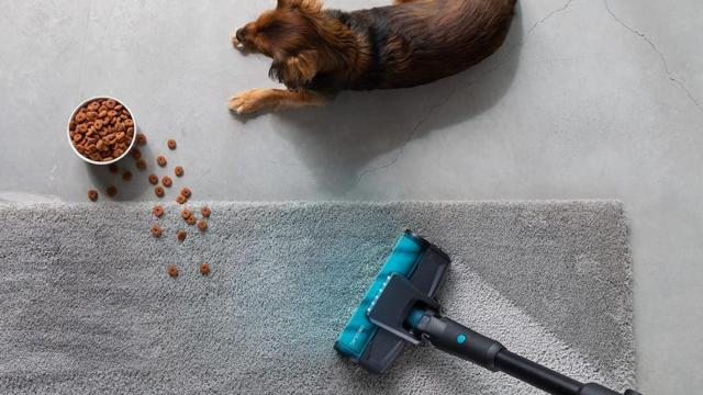 La conga Rockstar 200 / ARCHIVO