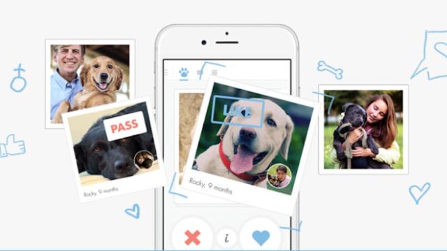 Twindog, la aplicación para ligar con tu perro  / Twindog