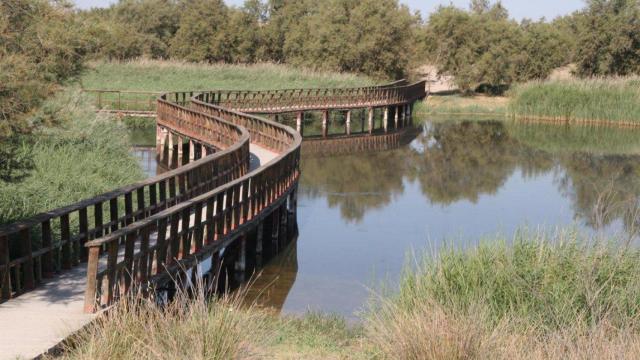 Acuíferos de las Tablas de Daimiel EP