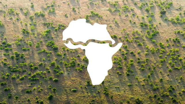 Gran Muralla Verde de África / THE GREAT GREEN WALL