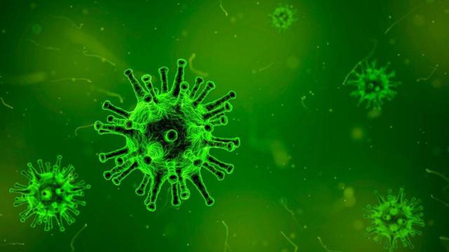 Representación del virus del tétanos / PIXABAY