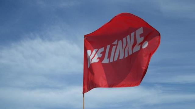Bandera del partido alemán de izquierdas Die Linke / Die Linke