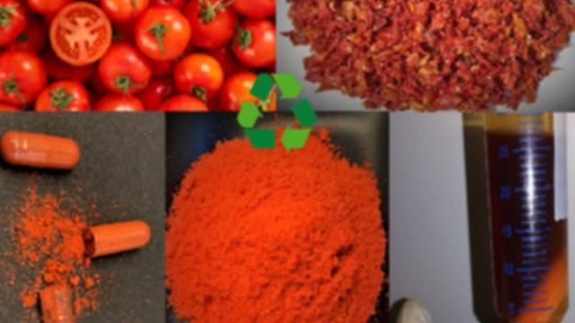 La empresa catalana SITEC Pharmabio recicla las pieles de tomate en complementos farmacéuticos / CEDIDA