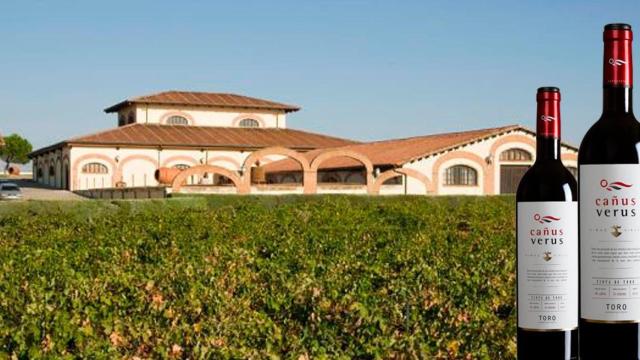 Dos botellas de Cañus Verus Viñas Viejas 2016 / COVITORO