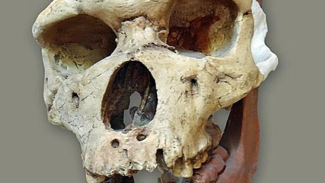 El catalán más viejo: 'L'home de Talteüll'