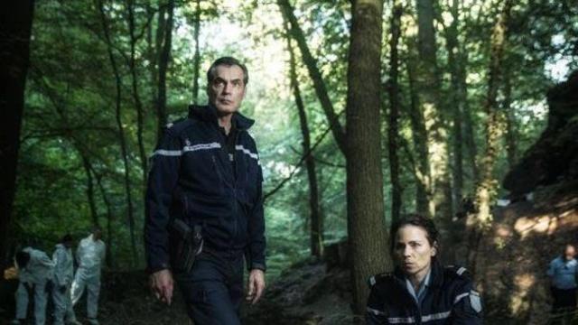 El bosque de las desaparecidas