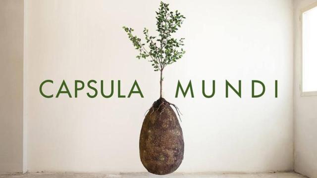 Capsula Mundi / CAPSULA MUNDI