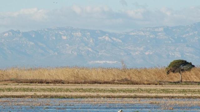 Tarragona con vistas a sus parques naturales (Parque Natural del Delta del Ebro) / WIKIMEDIA COMMONS