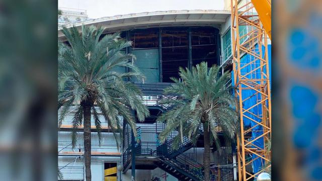 Imagen del futuro Lío Mallorca en la discoteca Tito's / CG