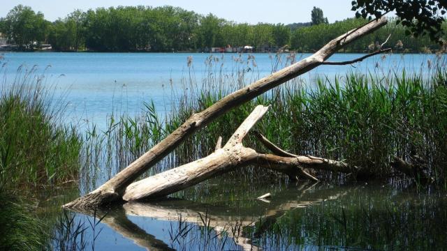 Uno de los mejores lagos catalanes, el de Banyoles en Girona / CREATIVE COMINOS