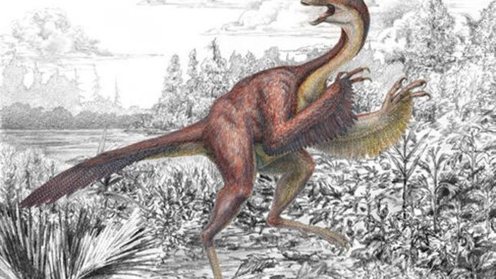 Ilustración de Anzu wyliei que muestra varias características anatómicas llamativas de este gran dinosaurio emplumado, de cola larga, pico sin dientes y cresta en la parte superior de su cráneo.