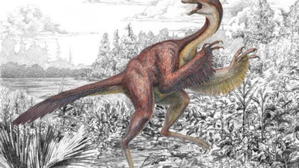 Ilustración de Anzu wyliei que muestra varias características anatómicas llamativas de este gran dinosaurio emplumado, de cola larga, pico sin dientes y cresta en la parte superior de su cráneo.