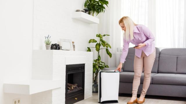 Los mejores deshumidificadores del mercado