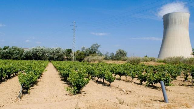 Central nuclear de Ascó (Tarragona) / EP