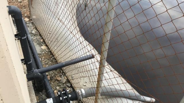 Agricultura promueve el uso de los purines como abono y ahora, una empresa estudia impulsar su flota de autobuses con purines de cerdo de Alcarràs. Foto de ARCHIVO / EP