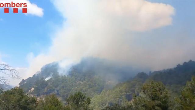 Incendio de Gandesa, que los bomberos han controlado este domingo / BOMBERS
