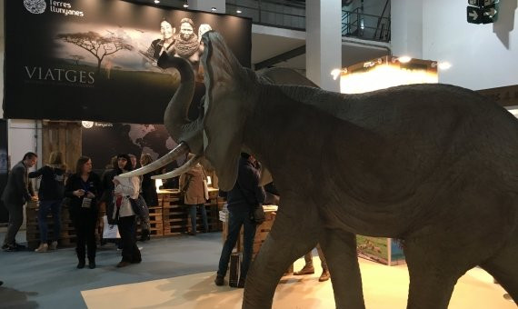 Expositor en el B-Travel 2017