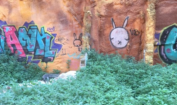 Los menores pasan las noches en los solares cercanos al Forat de la Vergonya