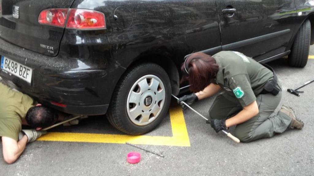 Los agentes rurales tratan de sacar la pitón de los bajos del coche / @AGENTSRURALSCAT