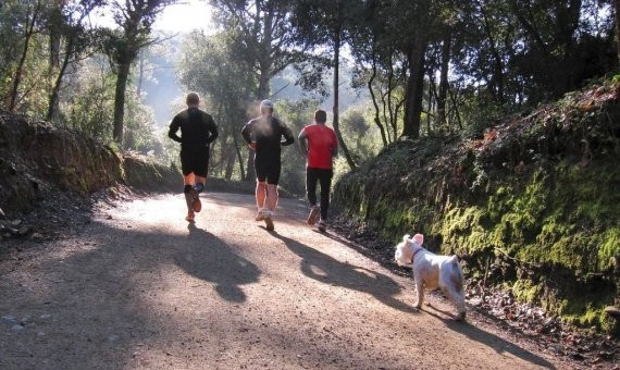 El parque de Collserola, escenario ideal para practicar deporte / Ajuntament de Sant Cugat 