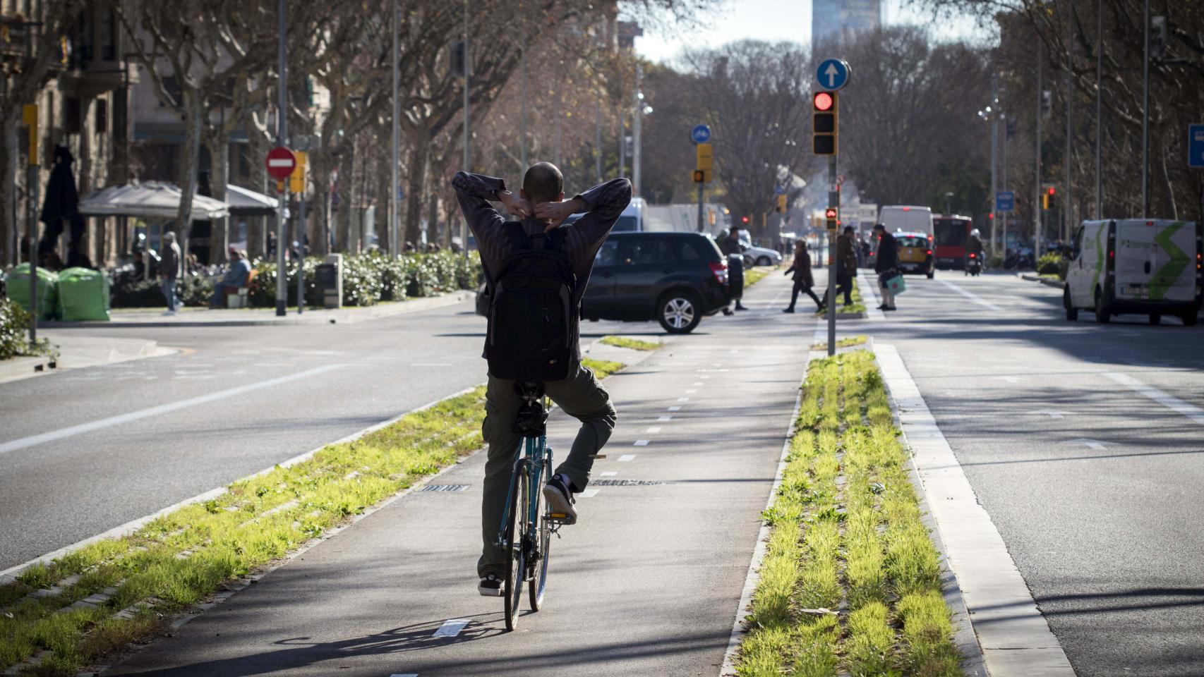 Un ciclista circulando de forma despreocupada por uno de los carriles bici de Barcelona / HUGO FERNÁNDEZ