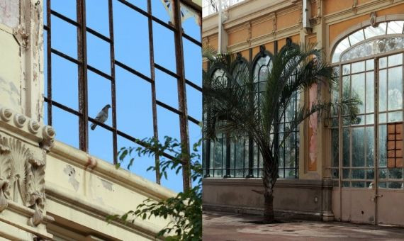 Detalles del estado de abandono en que se encuentra el Hivernacle / HUGO FERNÁNDEZ