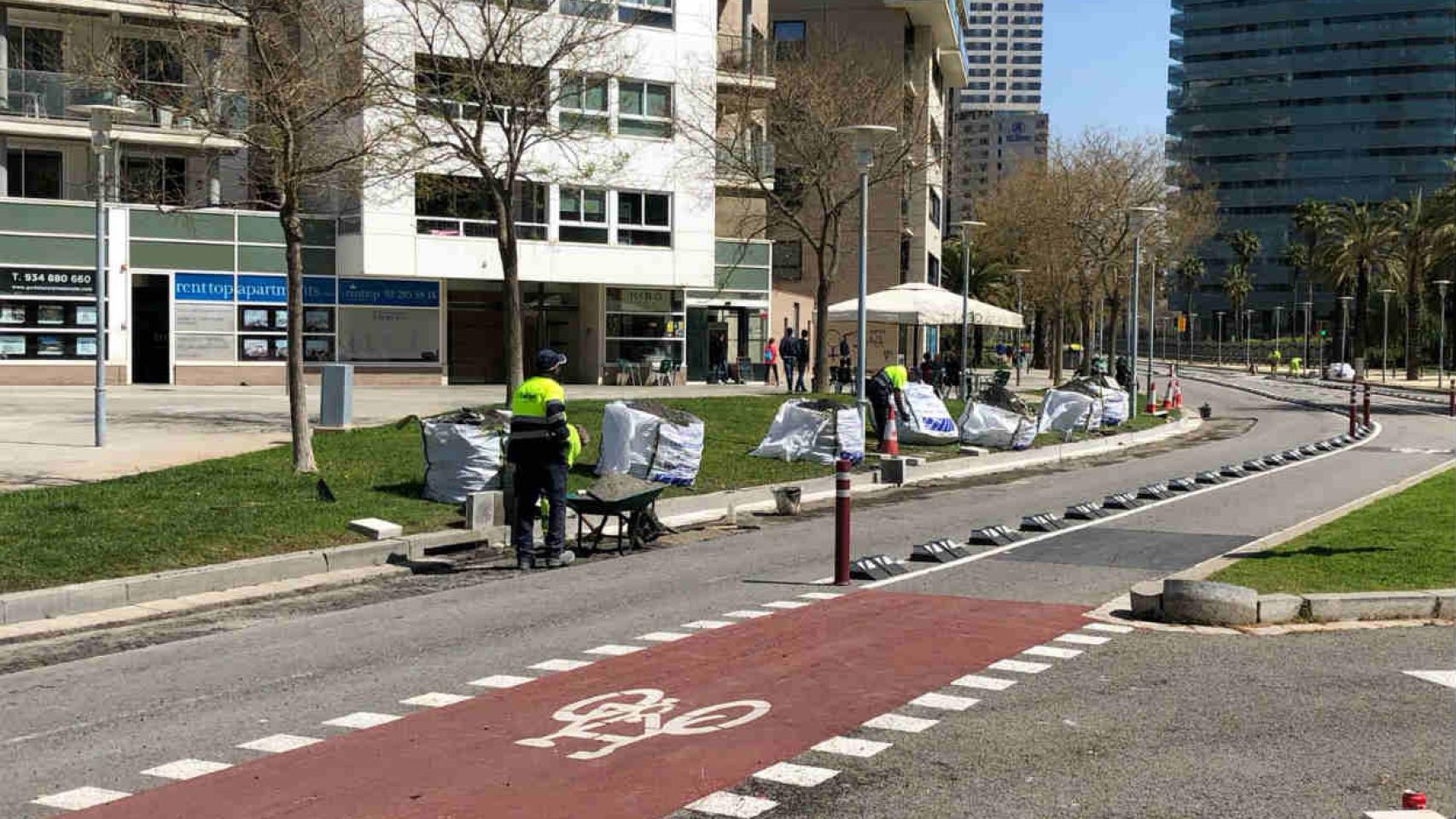 La posible sustitución de las farolas por la construcción de un carril bici en Taulat indigna a los vecinos