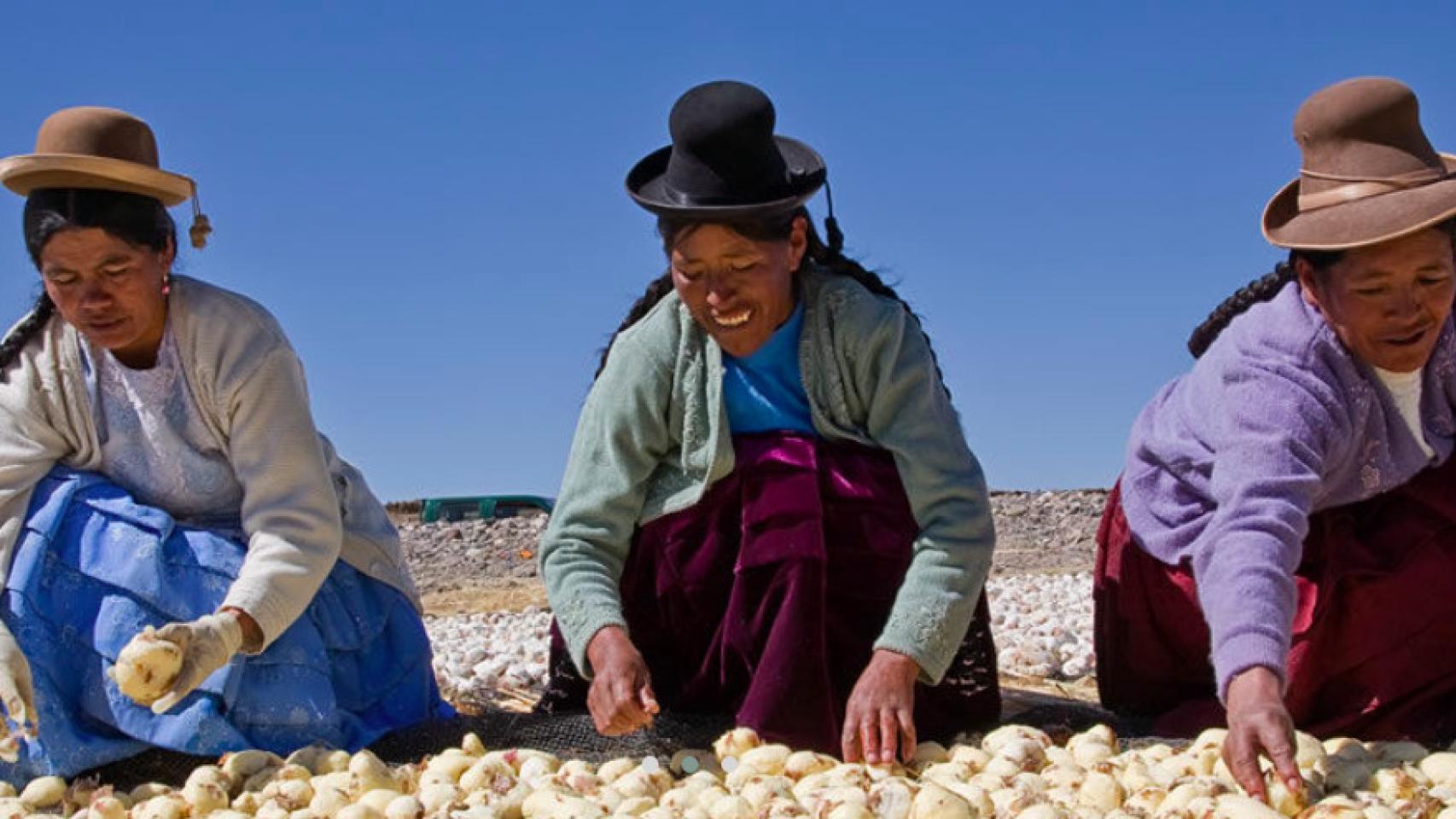 Agricultoras de la patata en el Perú / WORLD POTATO CONGRESS