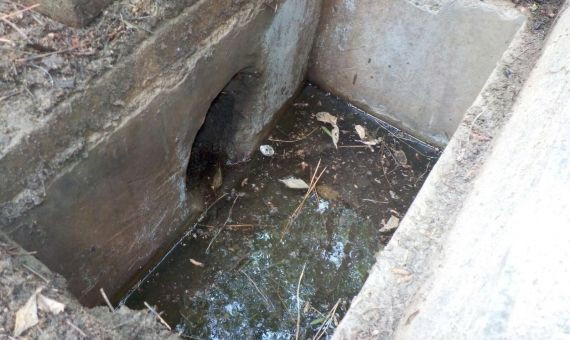 Uno de los sumideros en los que crían los mosquitos / ASPB