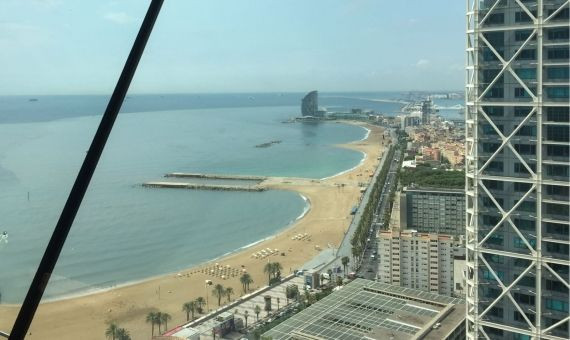 La isla se ha expandido contaminando toda la playa