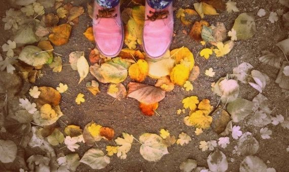 Otoño en el Parque del Laberinto de Horta / A.O. 