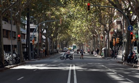 Paseo de la Bonanova / HUGO FERNÁNDEZ