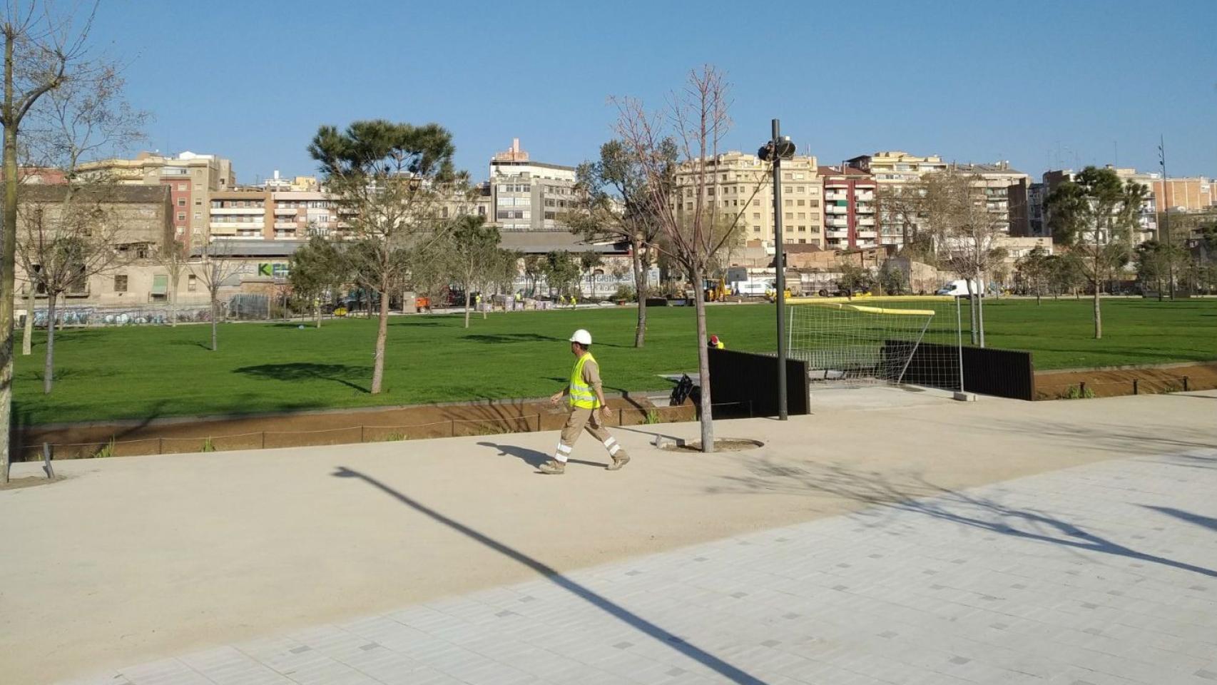 La plaza de Glòries se convertirá en una alfombra verde con la inauguración del parque de la Canòpia Urbana / JORDI SUBIRANA