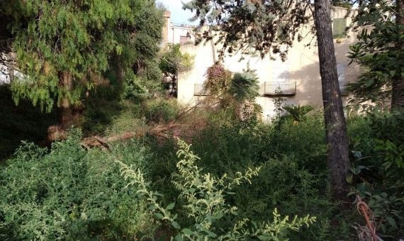 El jardín de la Torre Garcini, sin mantenimiento alguno / JORDI SUBIRANA