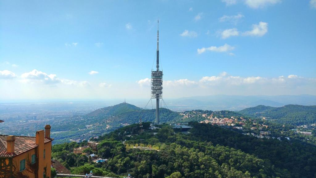 El Parque de Collserola es uno de los mejores planes para realizar con perros / WeLoveBarcelona - PIXABAY