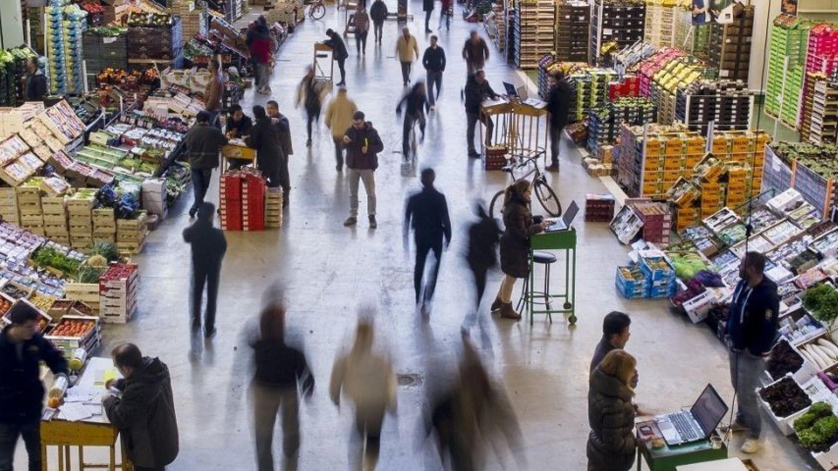 Interior de Mercabarna