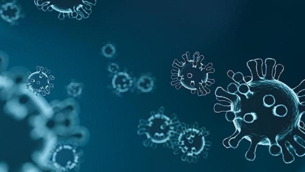 El Covid-19 está causando estragos en la sociedad desde el mes de marzo / PIMEC