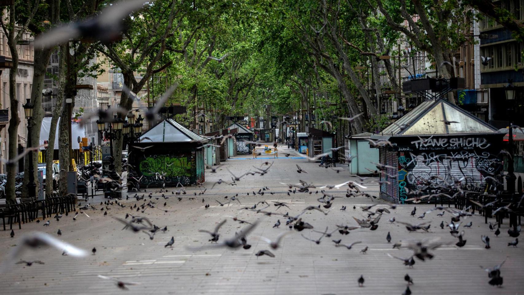 La Rambla Catalunya completamente vacía