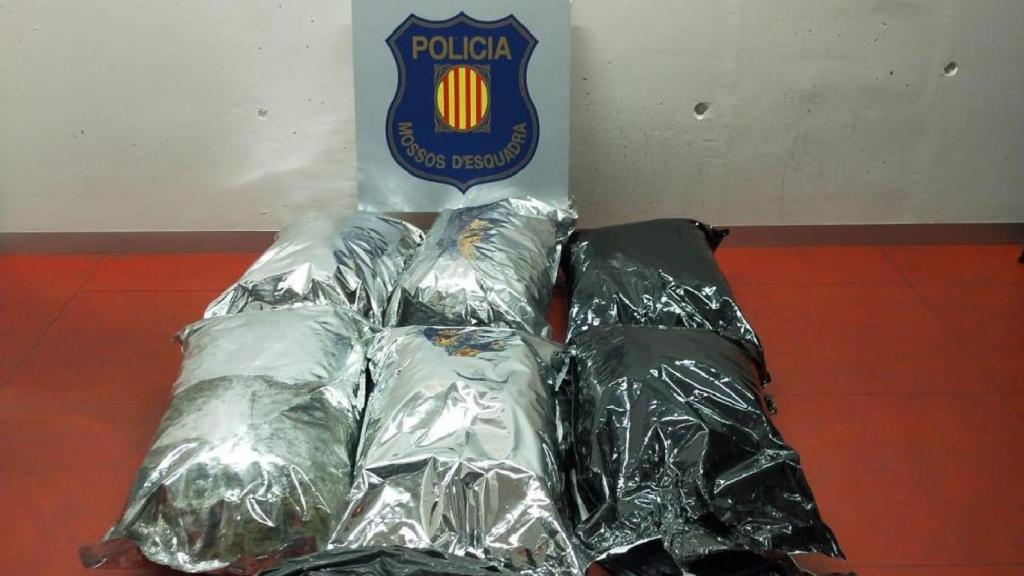 Marihuana intervenida por los Mossos d'Esquadra en el Eixample / MOSSOS D'ESQUADRA