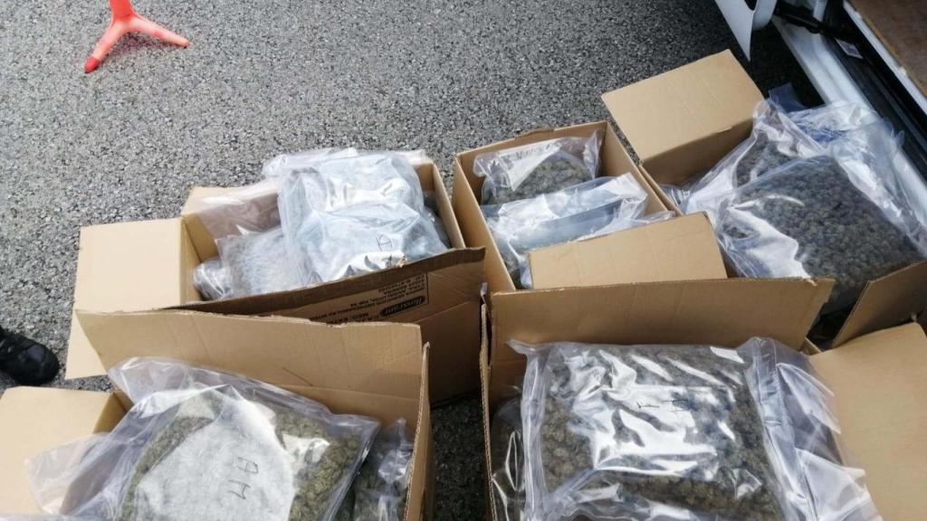 Kilos de marihuana incautada por la policía / MOSSOS D'ESQUADRA