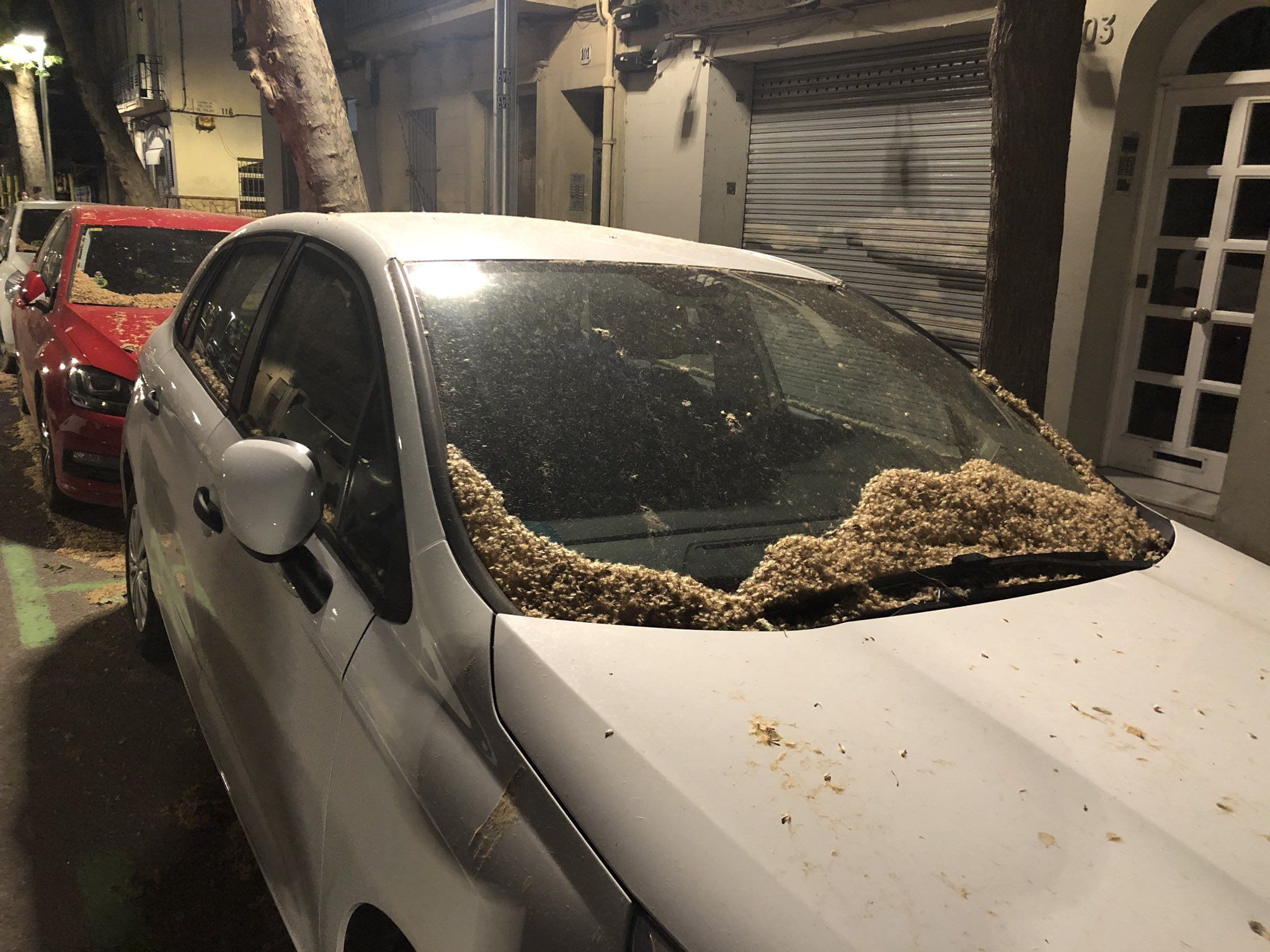 Coches llenos de polen, en una calle de Barcelona / TWITTER ÓSCAR RAMÍREZ
