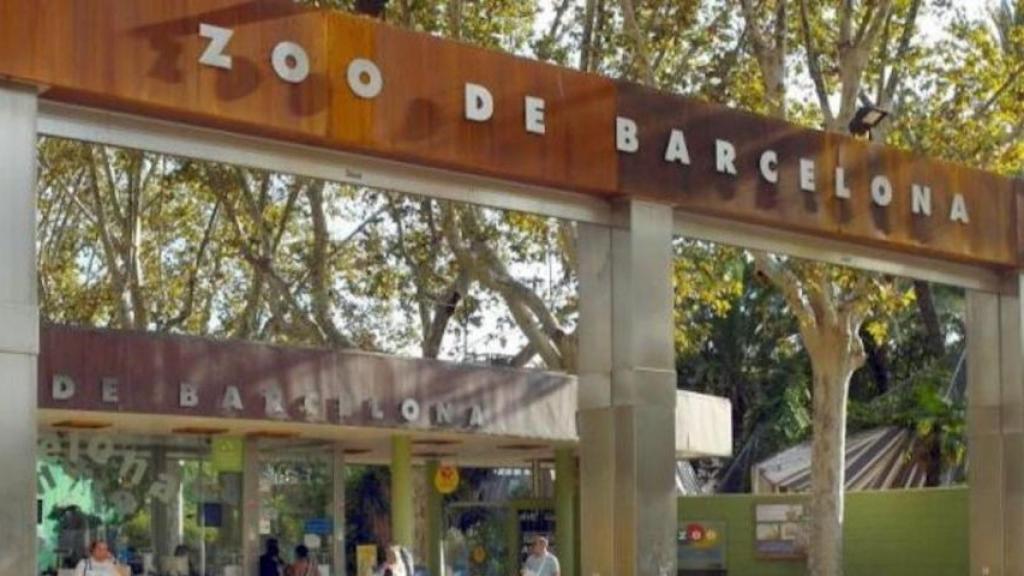El Zoo de Barcelona, reabierto / AYUNTAMIENTO DE BARCELONA