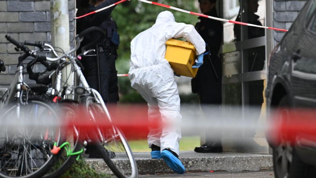 Una mujer alemana intenta suicidarse tras matar a varios de sus hijos / EFE - SASCHA STEINBACH