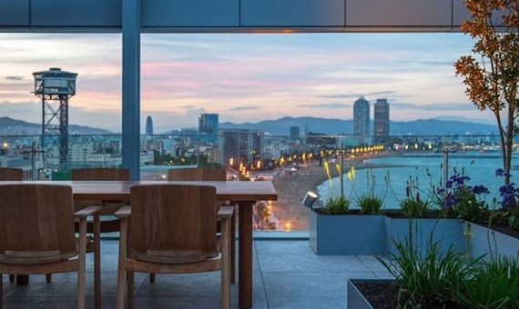 Comedor del Blue Spot, el restaurante de Shakira y Piqué azotado por el coronavirus / BLUE SPOT