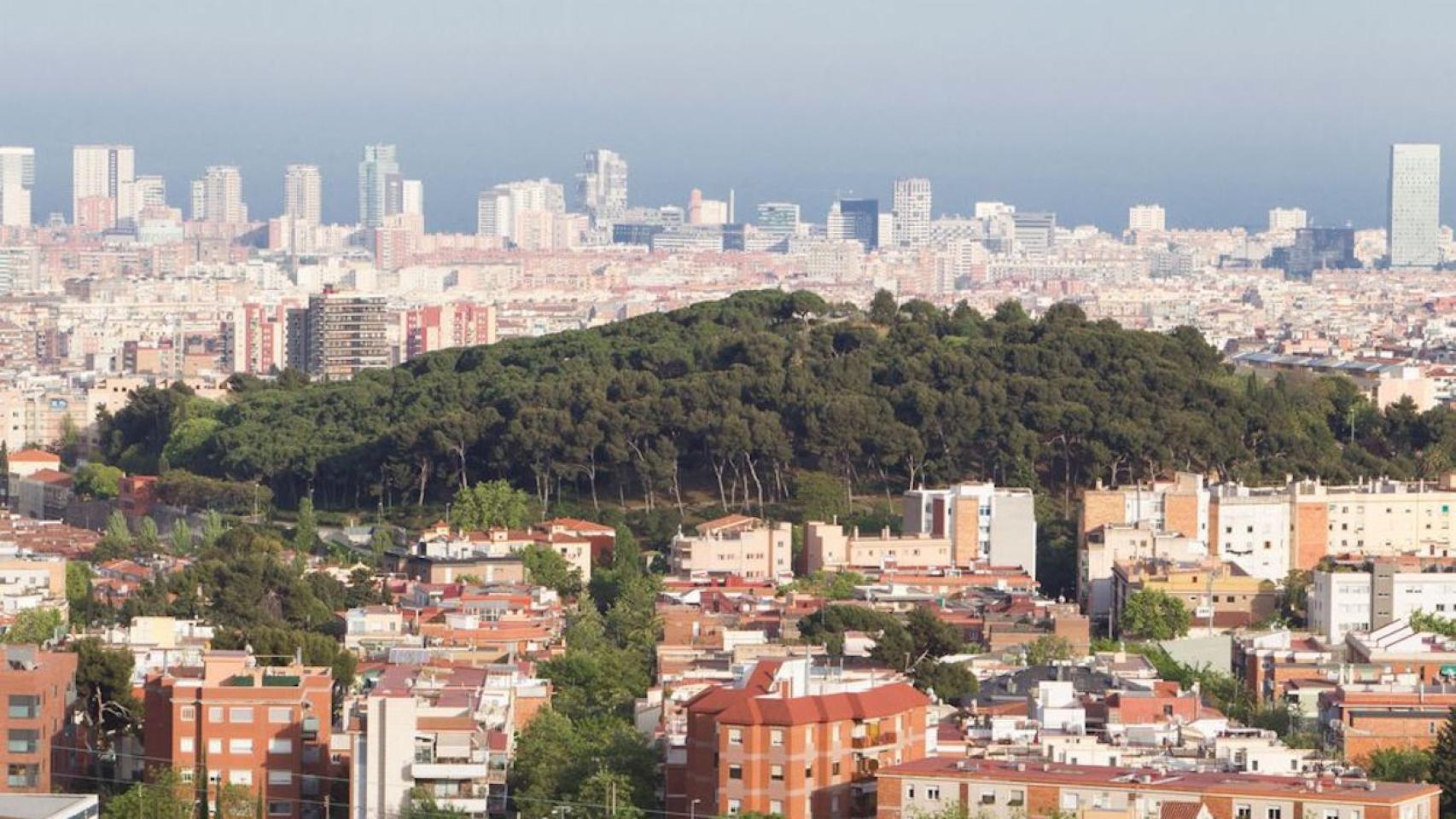 Vista panorámica del Turó de la Peira, en una imagen de archivo / AYUNTAMIENTO DE BARCELONA