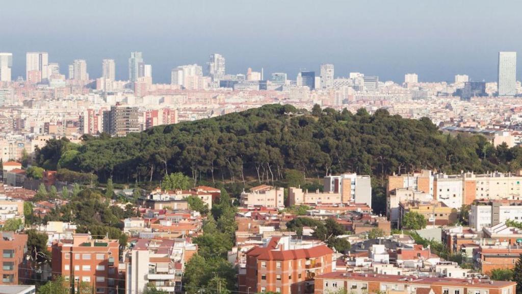 Vista panorámica del Turó de la Peira, en una imagen de archivo / AYUNTAMIENTO DE BARCELONA