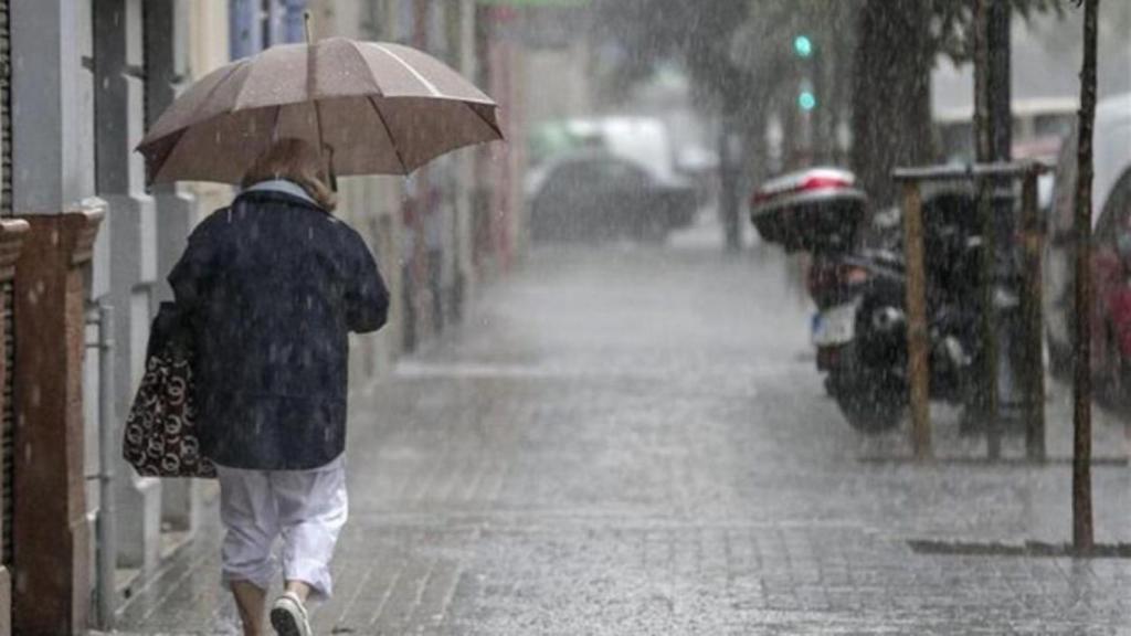 Una mujer se protege de la lluvia con un paraguas / EFE