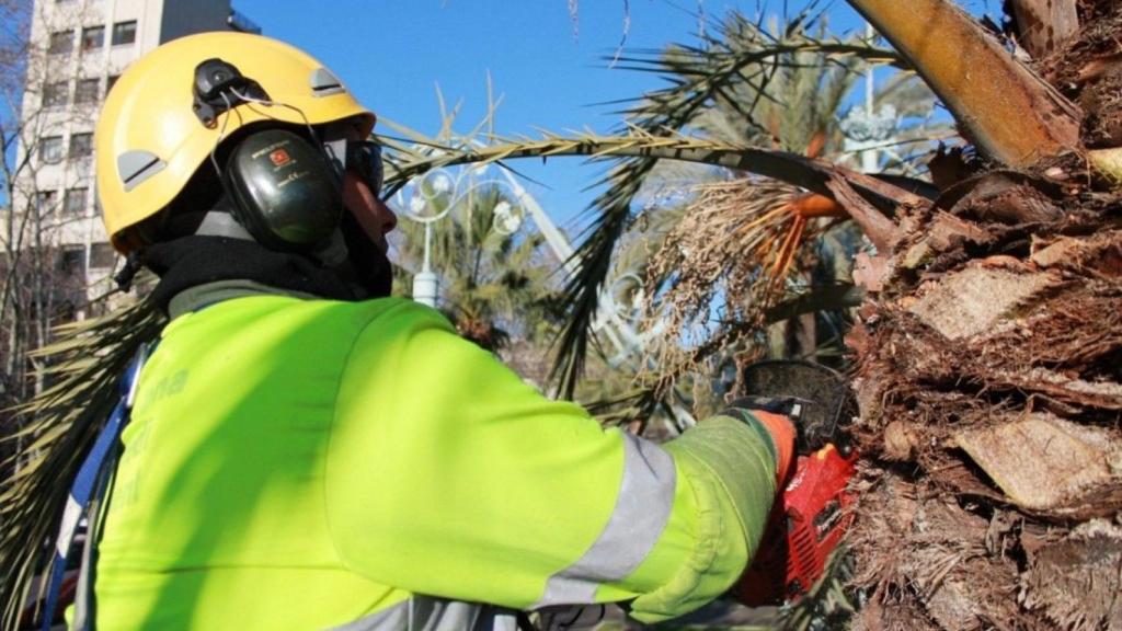 Una trabajadora de la empresa municipal Parcs i Jardins / AJ BCN